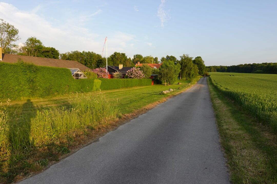 farmer in danish field